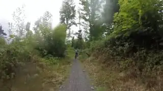 Castle Ward Mountain bike trails
