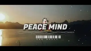 Peace Minds - Future Bass Type Beat 2024 | Chill Vibes | Produced by DNB MUSIC