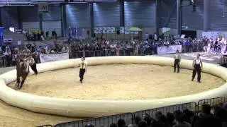 Foire Comtoise 2014 - Spectacle Jéhol / Les Comtois en Folie - Tableau 1