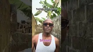 Plies Ft. T-Pain &ldquo;Shawty&rdquo; Chorus Lyrics Video #choruslyrics #duet #songlyrics #music #hiphop