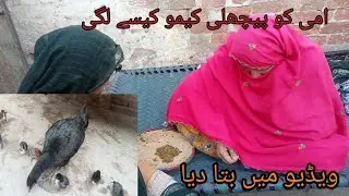 Ammi ko kemo ksy lagi | Madhiya vlogs family 