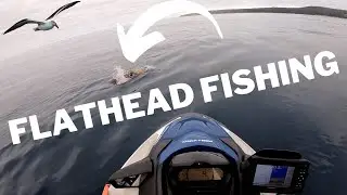WINTER JETSKI FISHING | FLATHEAD FISHING TASMANIA | SEADOO FISHPRO