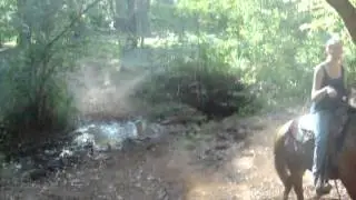 Scooby Wide Creek