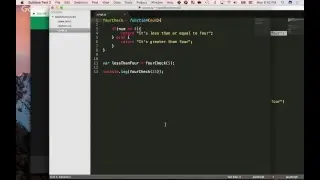 Lambda School Mini Bootcamp Lesson 6 - Functions, Parameters, Arguments
