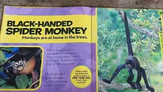 #Fun facts about animals 