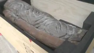 Baradine Tree returned home