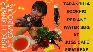 Eating insects, challenging FEAR FACTOR at Bugs Cafe, Siem Reap, Cambodia