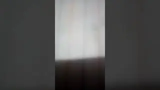 NIGGATIVITY