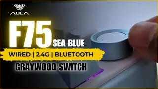 Aula F75 Tri Mode Connection Mechanical Gaming Keyboard | Sea Blue Graywood Switch