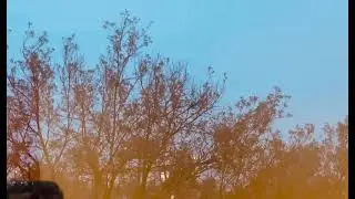 Your Company of friends..! Deep talks, ASMR Sounds, Sleepy voice.