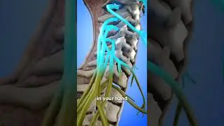 Как ваша рука может двигаться сама по себе 😨