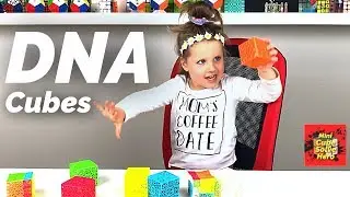QiYi DNA Cubes | SpeedCubeShop.com