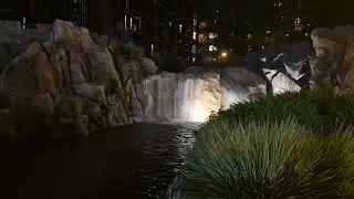 Wilderness Lodge waterfall 2025 Disney World visit