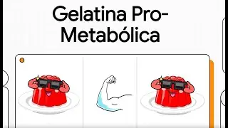 Gelatina Pro Metab&oacute;lica - RAY PEAT