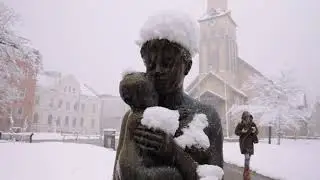 Fresh snow in Troms&oslash;