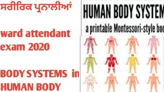 Ward attendant#body systems# body systems in human body#home based care#ward attendant new update.