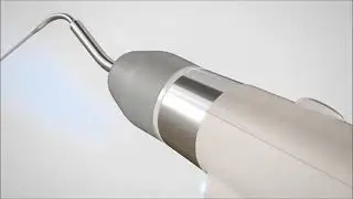 Gutta Fill + V Veterinary