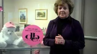 Delaware Breast Cancer Coalition gives ThanksDE to 23rd & 5th.mp4