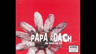 Papa Roach - Naked in Front of the Computer