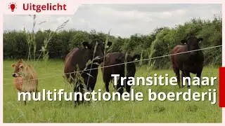 Uitgelicht | Transitie van melkveebedrijf naar multifunctionele boerderij