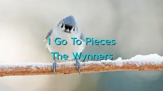 I Go To Pieces - The Wynners