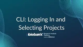 CLI: Logging In and Selecting Projects