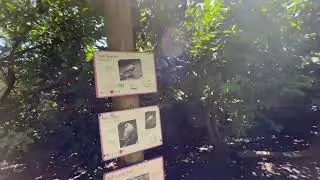 Exploring the Islands Section