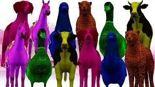 Animals Farm Baby Find Mom, Farm Animals Name and Sounds for Children Kids Toddlers