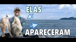 Pegamos um temporal na pescaria embarcada em Peruibe | &Uacute;ltima pesca EMBARCADA do ano | Ser&aacute;?
