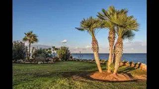 simple front yard landscaping ideas