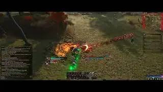🎥 AOC: Bard VS Fighter