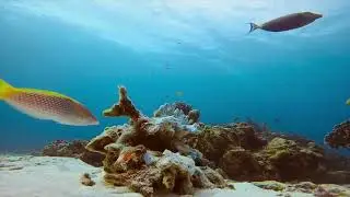 Submerged Serenity: Relaxing Underwater White Noise for Deep Meditation and Sleep
