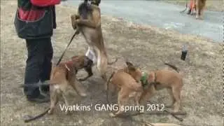 Vyatkins' Gang - April 2012\Семинар в Тюмени