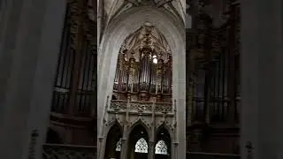 Cathedral in Bern, Switzerland  6.7.2025