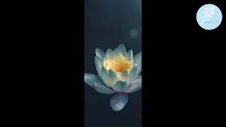 maditation video songs of world class /2021