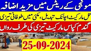 New Munji Rates 2024 | maize rates | Gandum ka rate today | Galla mandi rates || Apna Kisan Pakistan