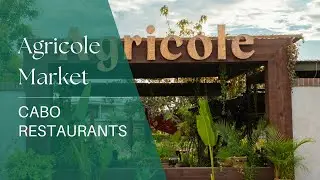 Cabo Restaurants: Sustainable Farming at Agricole Food Hall & Restaurant Pescadero