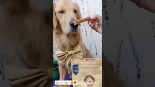 Dogsee Dog Treats | 100% Natural & Healthy Treats