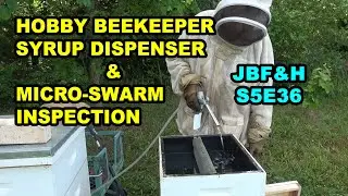 Hobby Beekeeper Feed Dispenser & Micro Swarm Inspection S5E36 #beekeeping