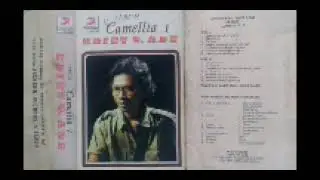 ALBUM PERDANA EBIET G  ADE