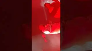 Gucci land tour 2019 mit capital bra samra summer cem und kc rebbel