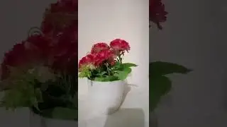 Zindagi Kay Rang is live! 