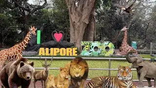 Alipore Zoo🐅🦘🐊 | Kolkata | #animals #vlog #travel