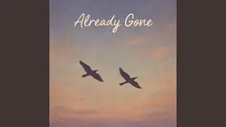 Already Gone