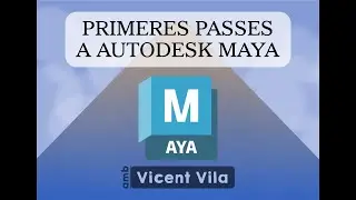 Primeres passes a Maya