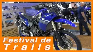 FESTIVAL TRAIL