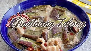 Ginataang Talong | Eggplant in Spicy Coconut Sauce
