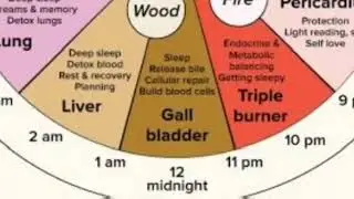 Biological clock - உடலின் கடிகாரம் part 2@AAUNMA #biologicalclock #organclock