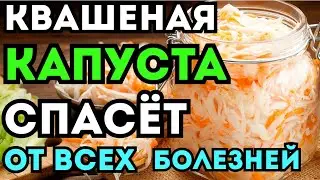 Sauerkraut that will save you from all diseases!