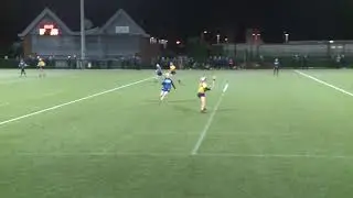 DCU D&oacute;chas &Eacute;ireann Camogie Score of the Year 2019/2020